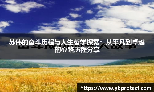 365WM完美体育官方app